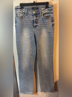 Judy Blue Light Blue Straight Leg Dad Jeans